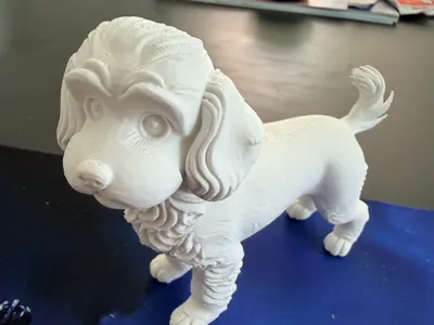 cavapoo 