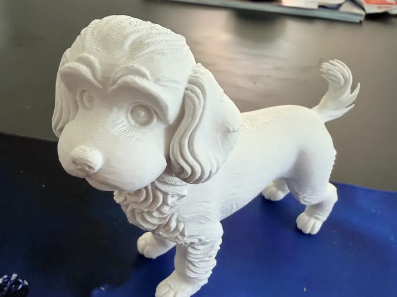 cavapoo 