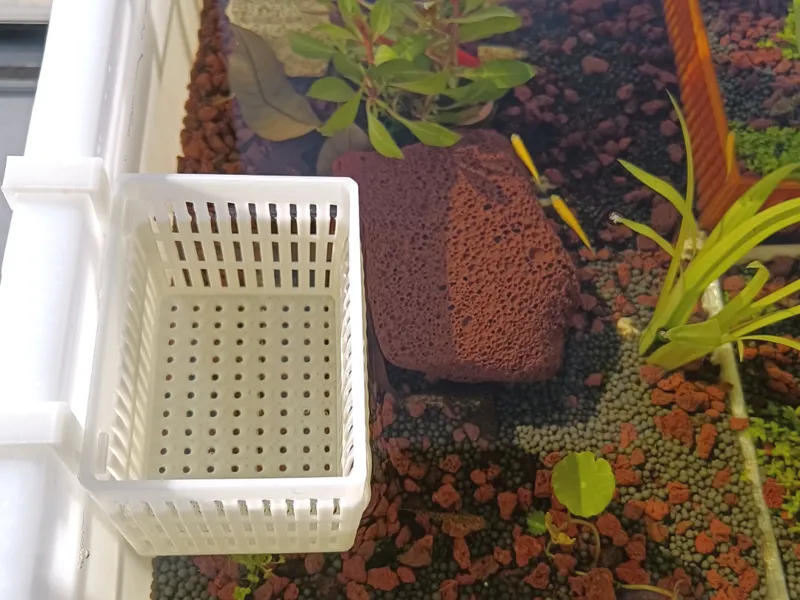 周转箱壁挂隔离定植篮