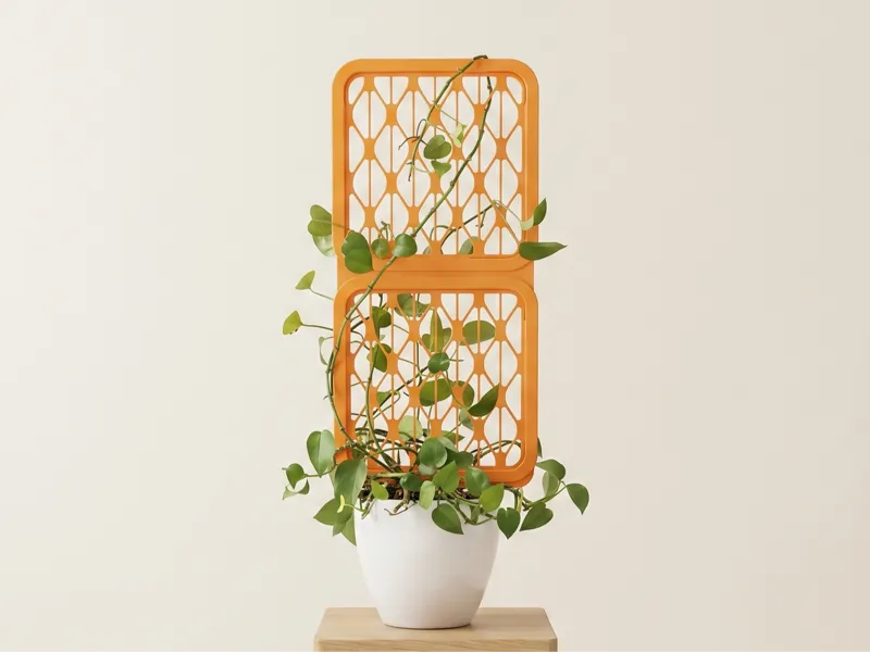 拼装式植物攀爬架