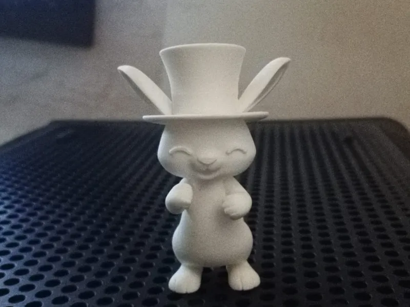 Conejo con sombrero
