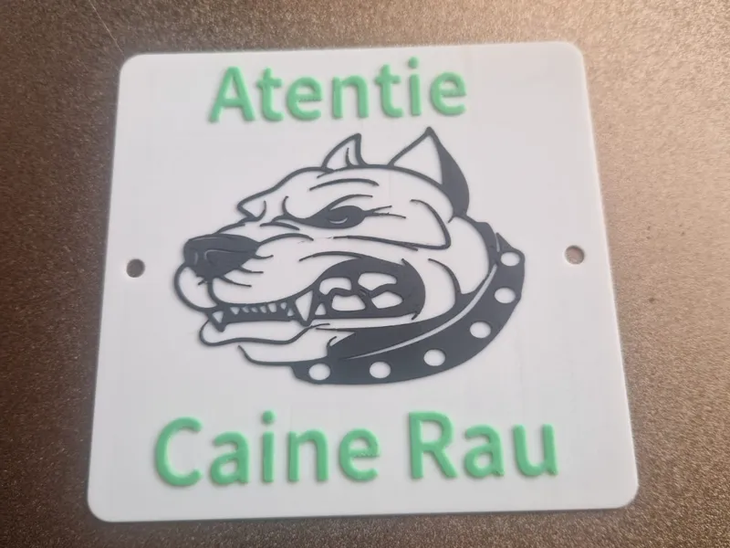 caine rau