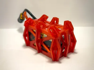 The ultimate bando lipo protector