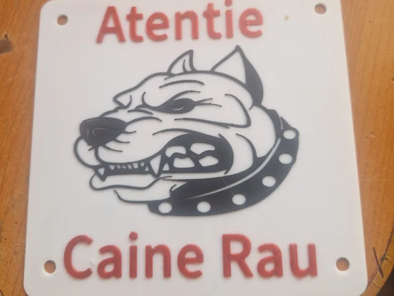 caine rau