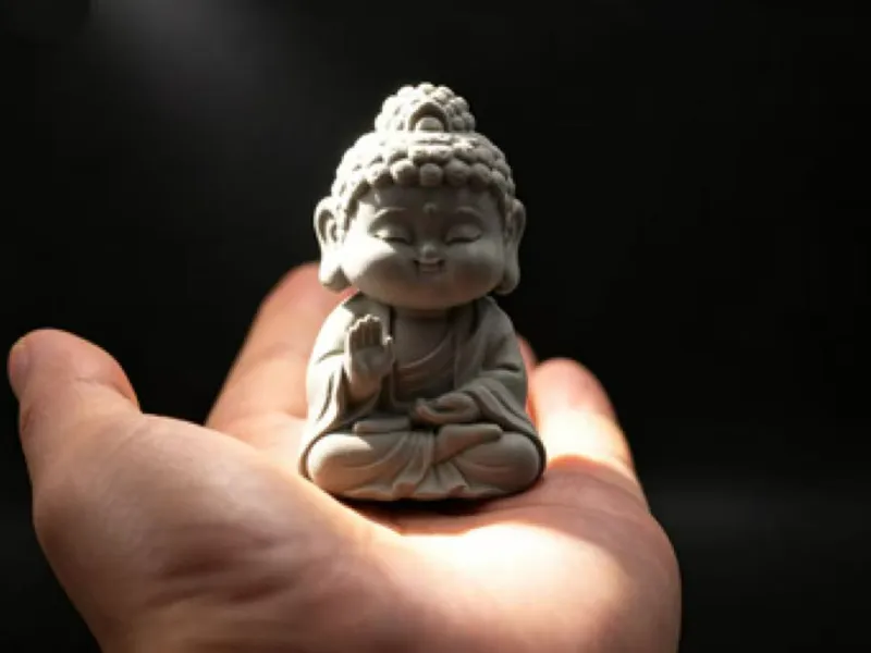 造物社首创 可爱嘟嘟 # 奶佛佛 # 看了就很治愈哟 