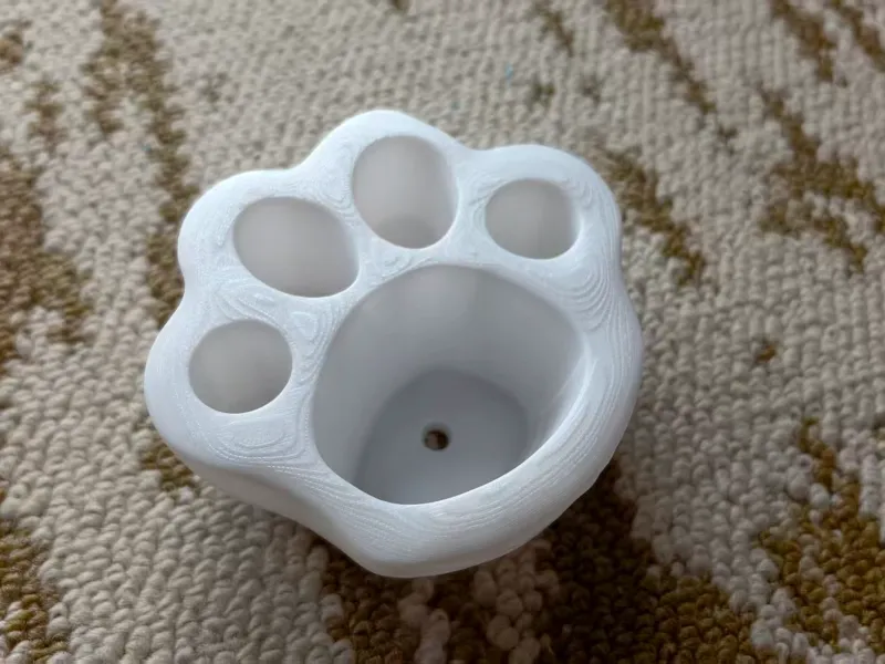 猫爪花瓶