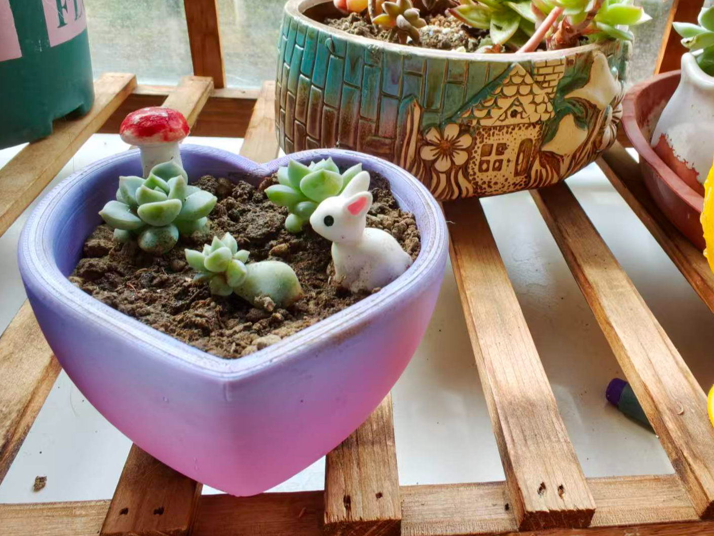 心型花盆
