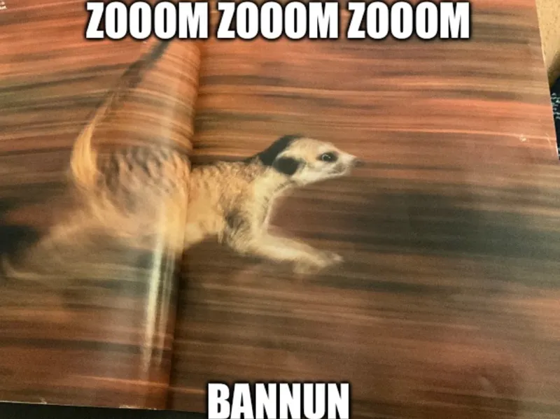 bannun