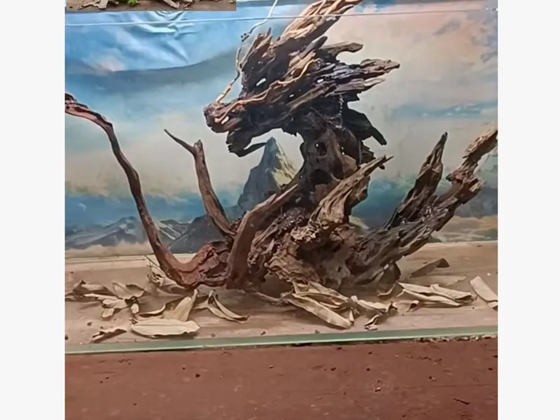 中国龙——鱼缸造景，模型摆件
