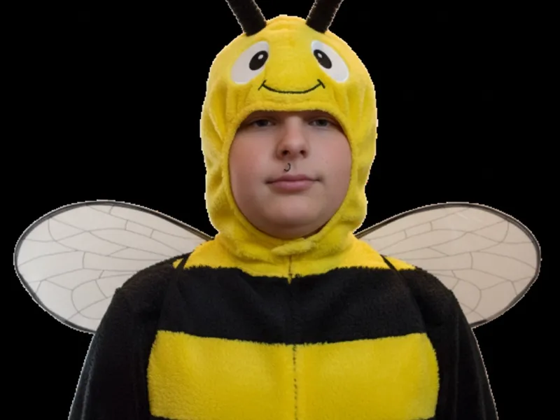 Bumble bee