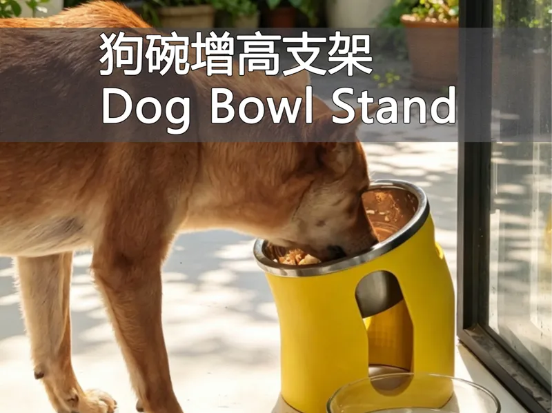 双枪牌304碗改狗碗增高架