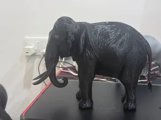 Elephant