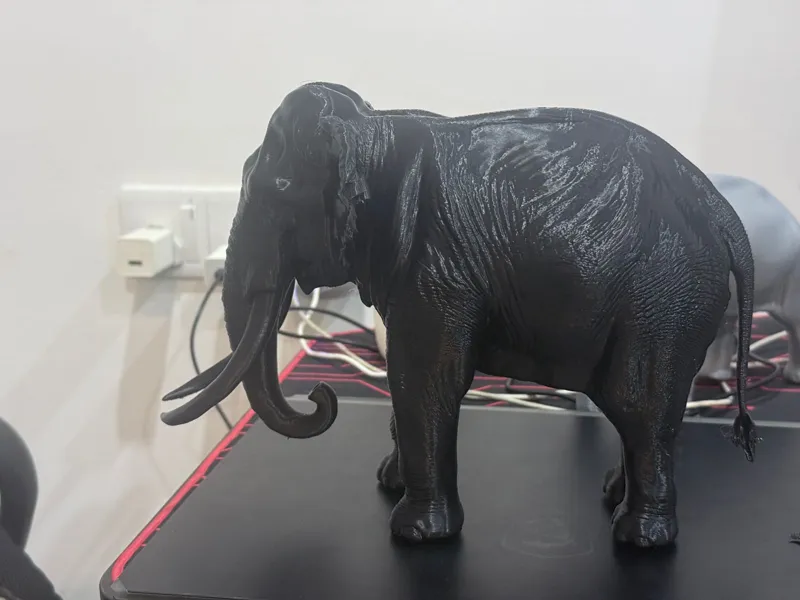 Elephant