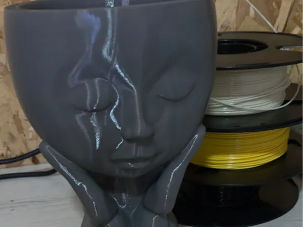 https://makerworld.bblmw.com/makerworld/model/DSM00000002701991/design/c6456d2f375a66c4.jpeg