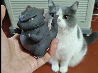 炭黑肥龙