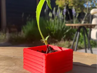plant pot