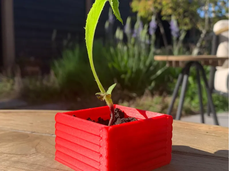 plant pot