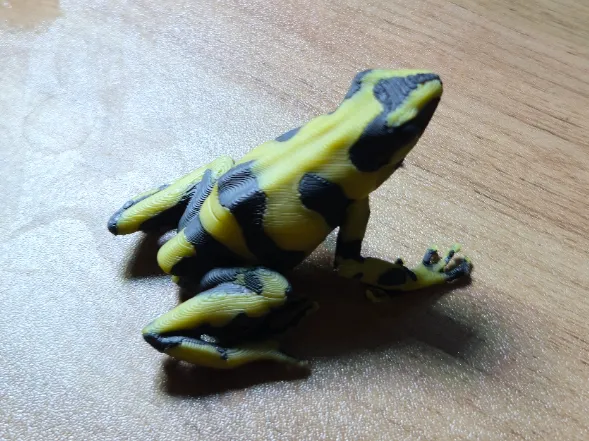 Poison Dart Frog
