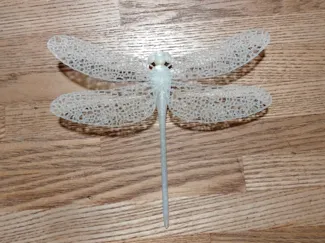 オニヤンマ　(Japanese giant dragonfly)
