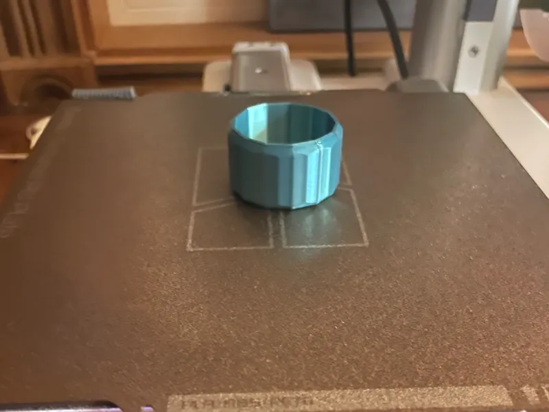 napkin / certificate ring