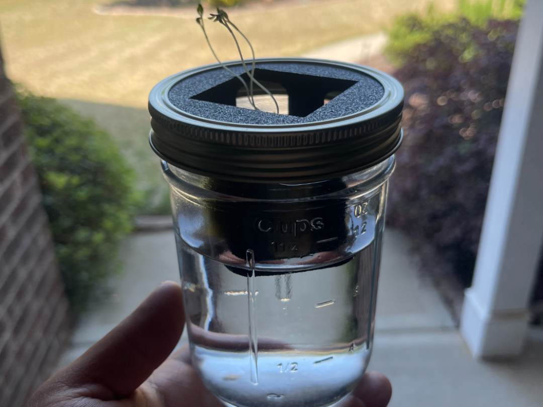 Seeding Basket for 3.5" Canning/Mason Jars
