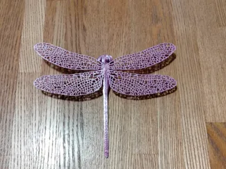 オニヤンマ（golden-ringed dragonfly）