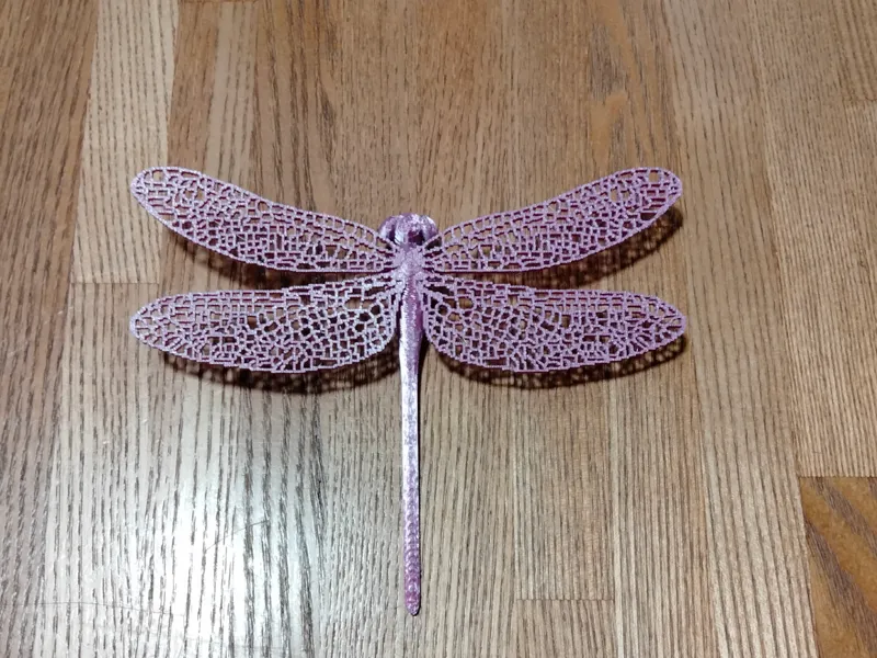 オニヤンマ（golden-ringed dragonfly）