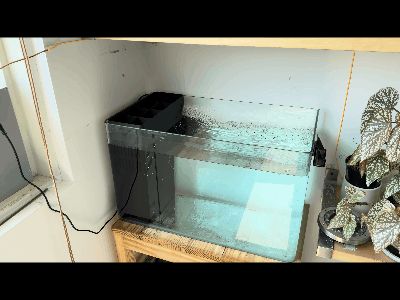 https://makerworld.bblmw.com/makerworld/model/DSM00000002714586/design/250a8b11bbd9a9e7.gif