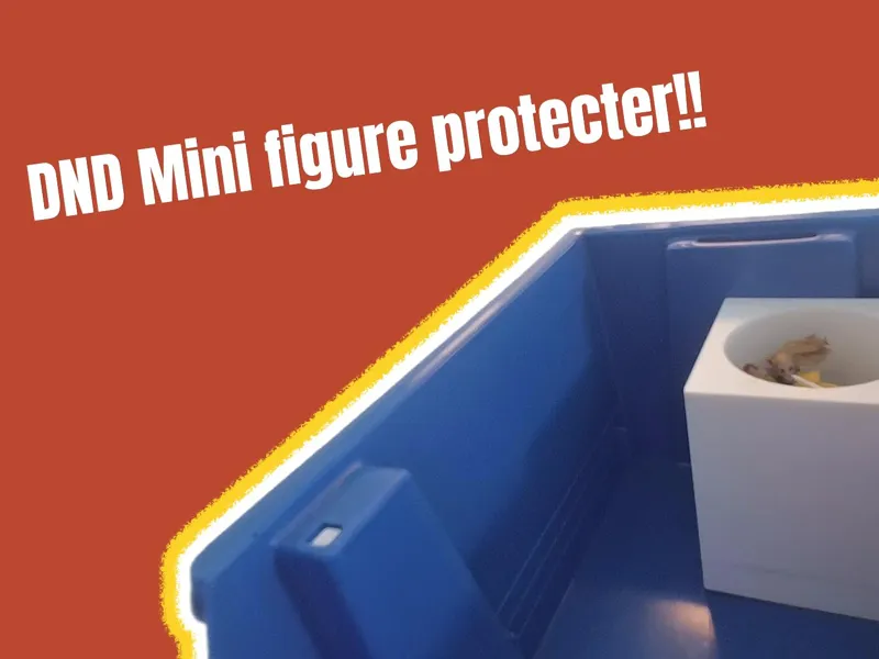 DND figure protector