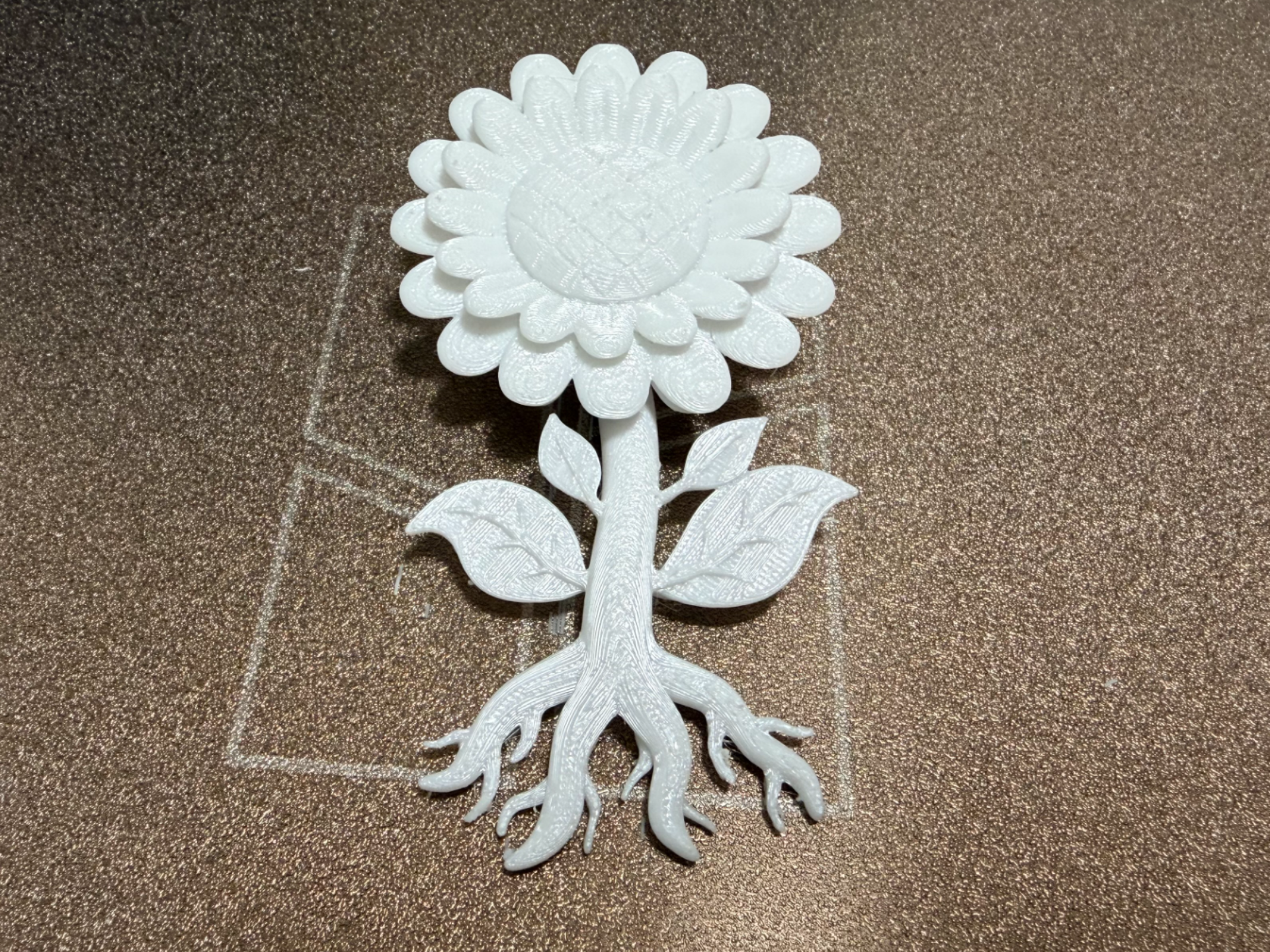 开花期的向日葵/太阳花教具模型 Sunflower