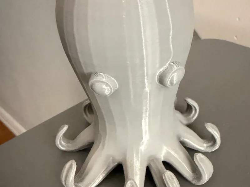 Octopus (dodecapus)