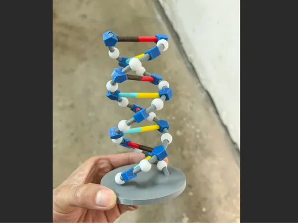 https://makerworld.bblmw.com/makerworld/model/DSM00000002718675/design/f6f98ac84113f085.png