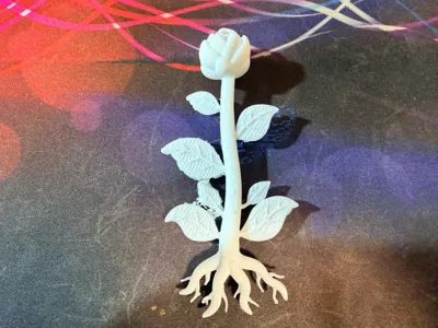 Growth Stage Sunflower Educational Model Sunflower Bud Sunflower Growth Stage