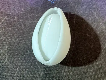 向日葵种子教具模型 瓜子 葵花籽 Sunflower Seed