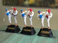 Trophée Taekwondo — photo 1