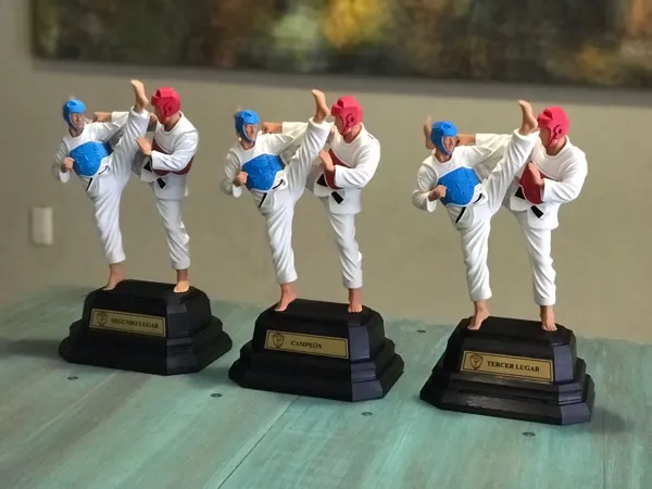 Trophée Taekwondo