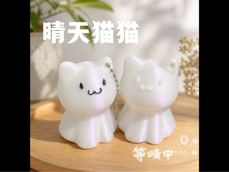 晴天猫猫