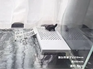 乌龟晒台