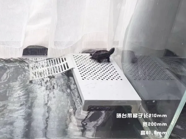 https://makerworld.bblmw.com/makerworld/model/DSM00000002724169/design/2025-11-12_5e19fc70c3f32.jpg