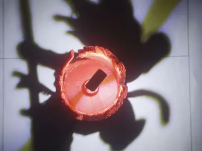 Wukong Projection Lamp