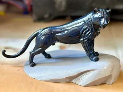 Panther on Rock