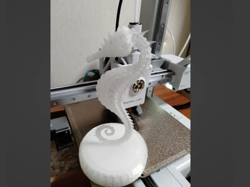 タツノオトシゴ１匹（Seahorse）