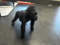 Teddy, the gorilla mascot