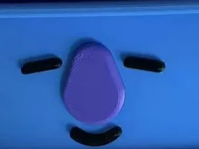 BT21-koya