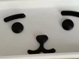 BT21-RJ