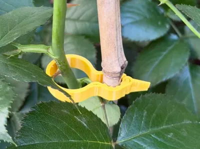 Plant Clip Plant Fixing Clip