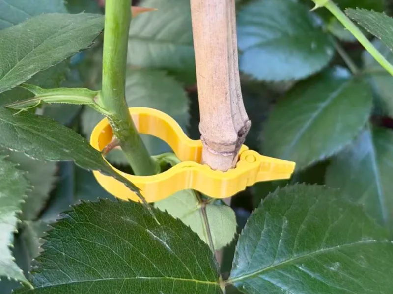 植物夹子植物固定夹