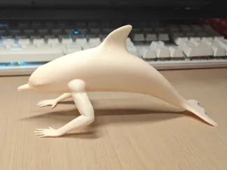 爬行海豚