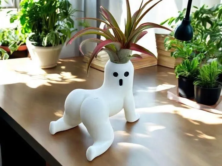白色植物盆