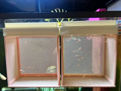 Incubation Box aa